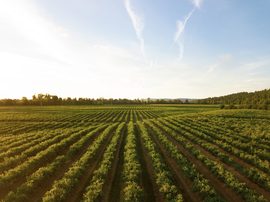 Agriculture support
